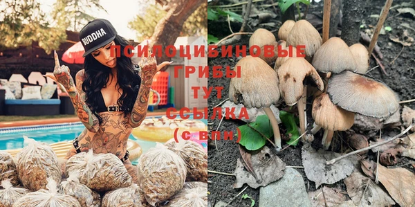 mdpv Богданович